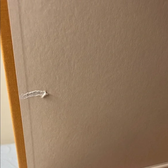 Louis Vuitton Signature Orange Box Large BOX. Magnetic closure. - Picture 7 of 11